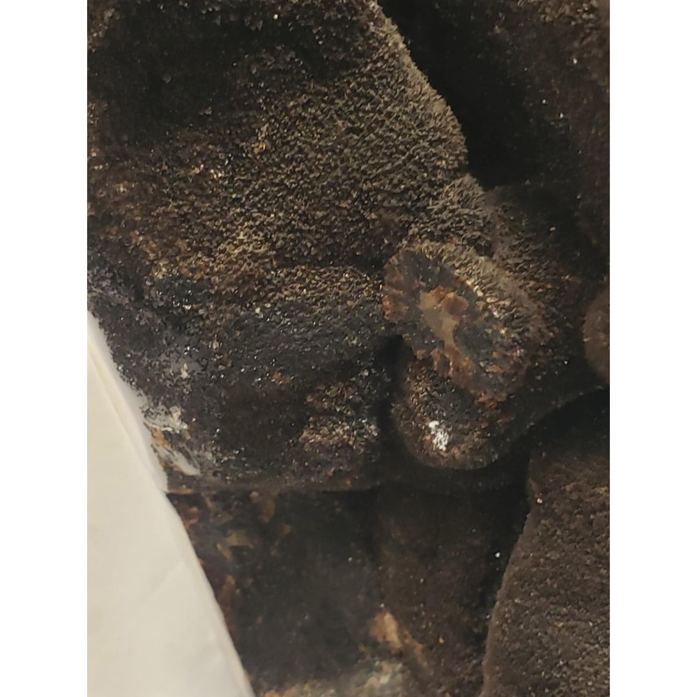 Natural Dragon Septarian Geode Freeform Quartz Cluster Crystal Healing - Picture 11 of 12